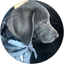 Robin Keener profile picture